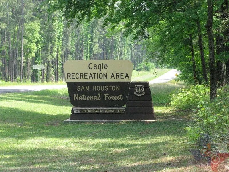 住洋房开游艇，做美国的*庄大**园主，朋友圈拉仇恨的绝佳机会来了