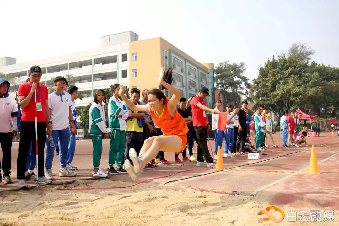 横栏小学校园田径运动会,2019白云区中小学生田径运动会