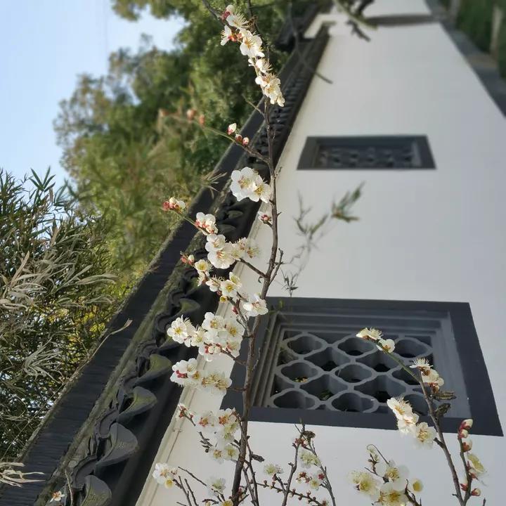 江苏省高校（三十一）苏州科技大学