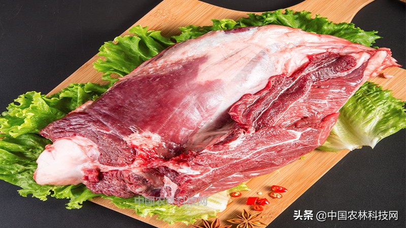 春节快到了买年货注意什么,过年海鲜干货类年货必备