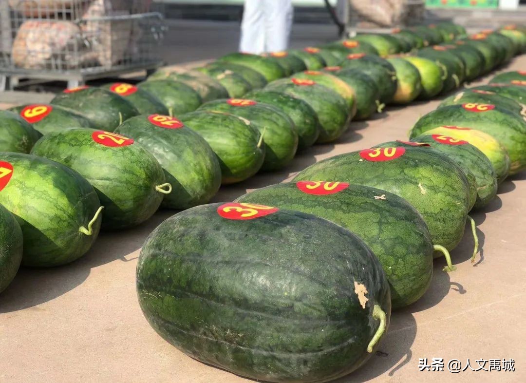 瓜瓜乐最新消息,刮刮乐最新动态