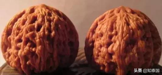 榴莲为啥价格相差那么多,为什么是天价榴莲