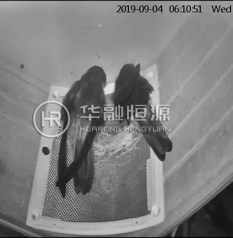 潮牌品牌创始人创业故事,潮牌鼻祖亏损7亿