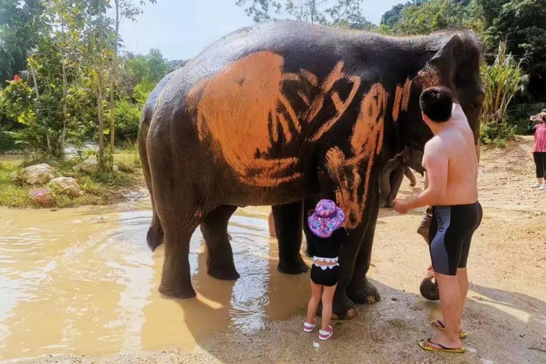 普吉岛7天6晚,普吉岛6天5晚高品质纯玩