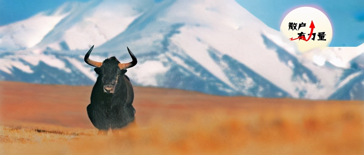 管理规模500亿债券基金经理,管理资金过千亿的基金经理