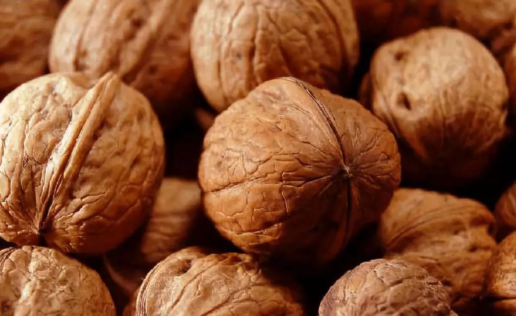 全新疆著名的特产,盘点十大新疆的特产