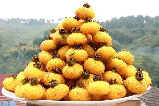 践行两山理念厚植高质量发展底色,践行两山理论推进新时代农村建设