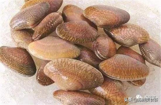 十种最美味海鲜,100种常见海鲜大全图