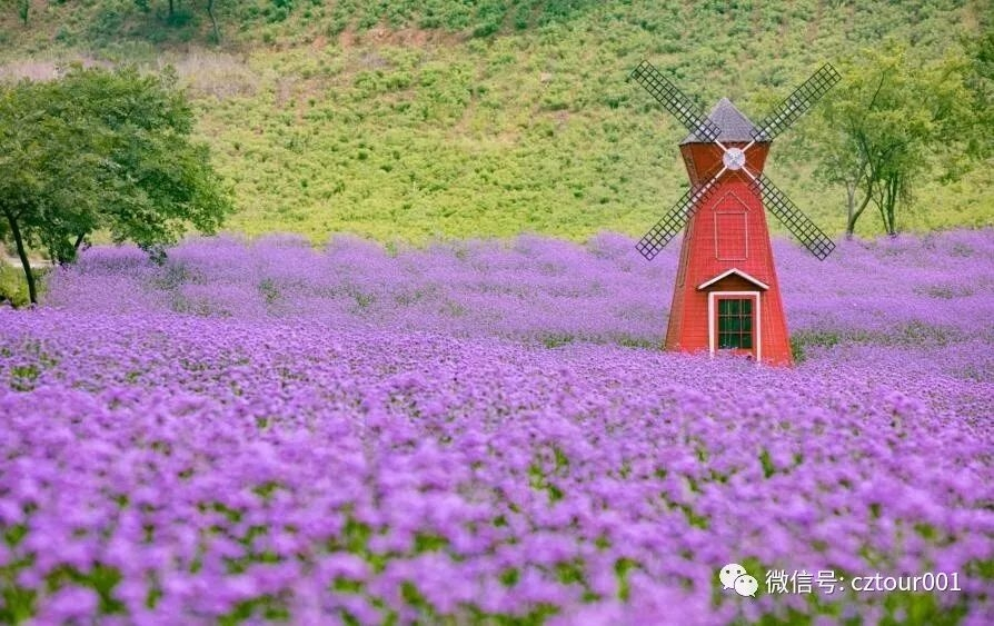 常州这10个被全省表彰的“网红村”、“创意园”，你去过吗？