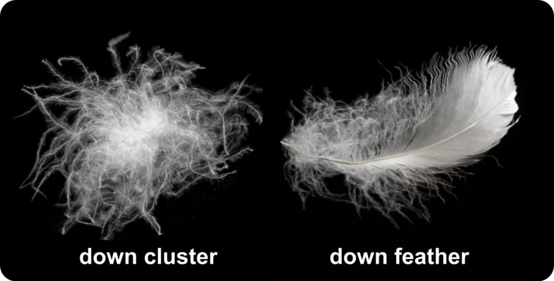 羽绒服的穿搭误区有哪些需要避开,羽绒服这样穿显瘦保暖又时髦