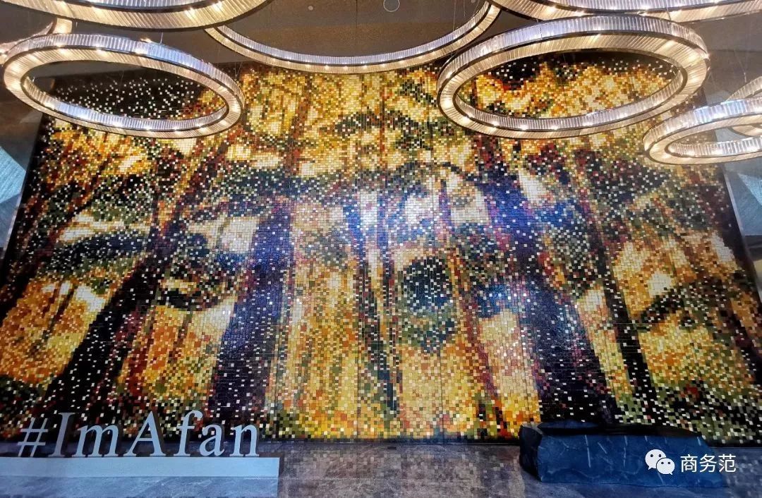 戴妃为什么喜欢老佛爷,为什么戴妃这么美