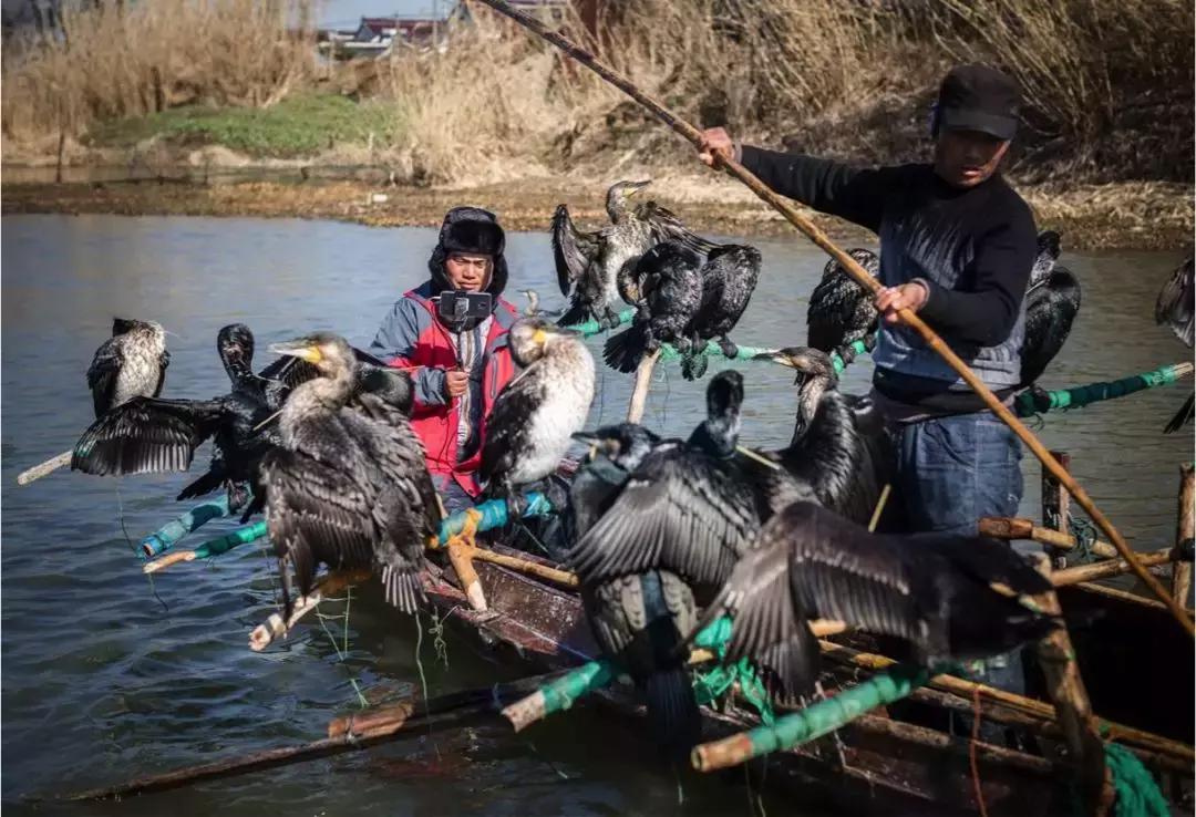 互联网改变面孔,互联网温暖的一面