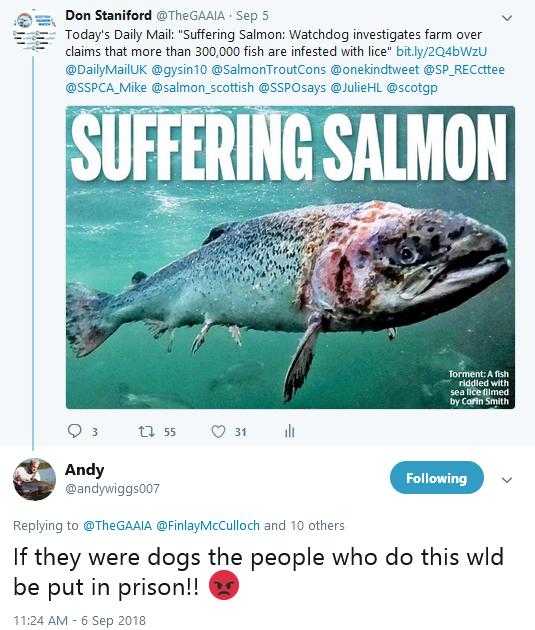 日本三文鱼寄生虫感染,三文鱼寄生虫能杀死吗