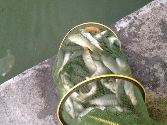 开鱼塘钓鱼如何盈利,钓鱼不如钓自己