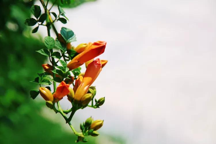 尼康入门单反,单反快速入门攻略