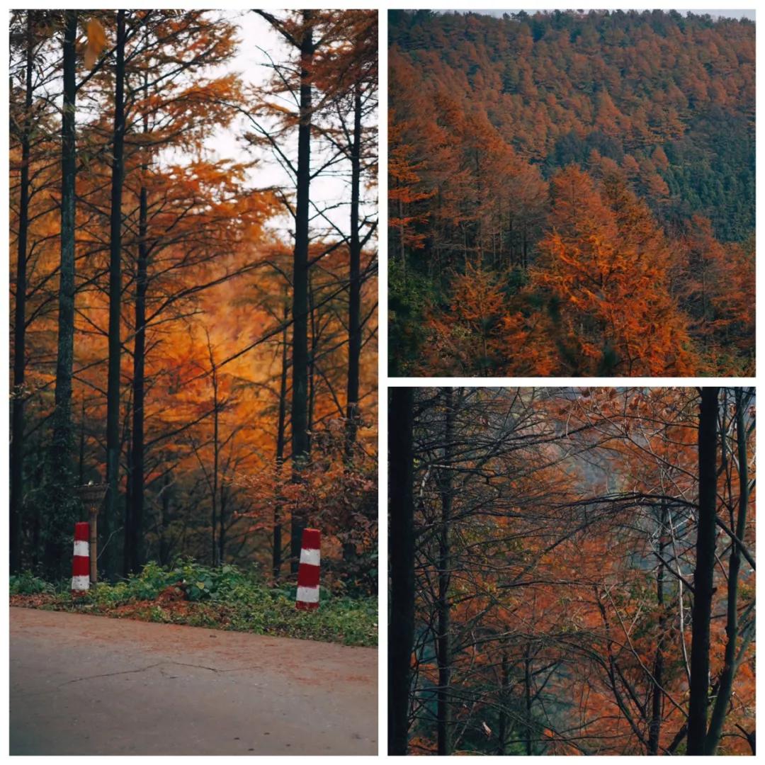 奥地利设计师操刀~热门综艺取景地，这里藏着你的冬日梦想