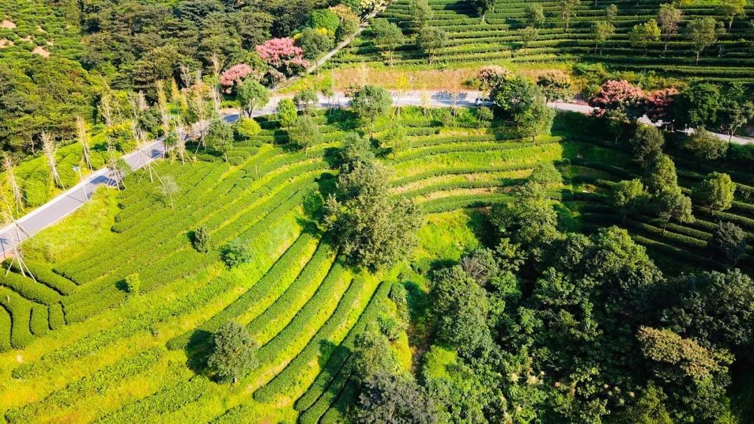 藏在云浮深山的农庄,云浮禅山度假酒店