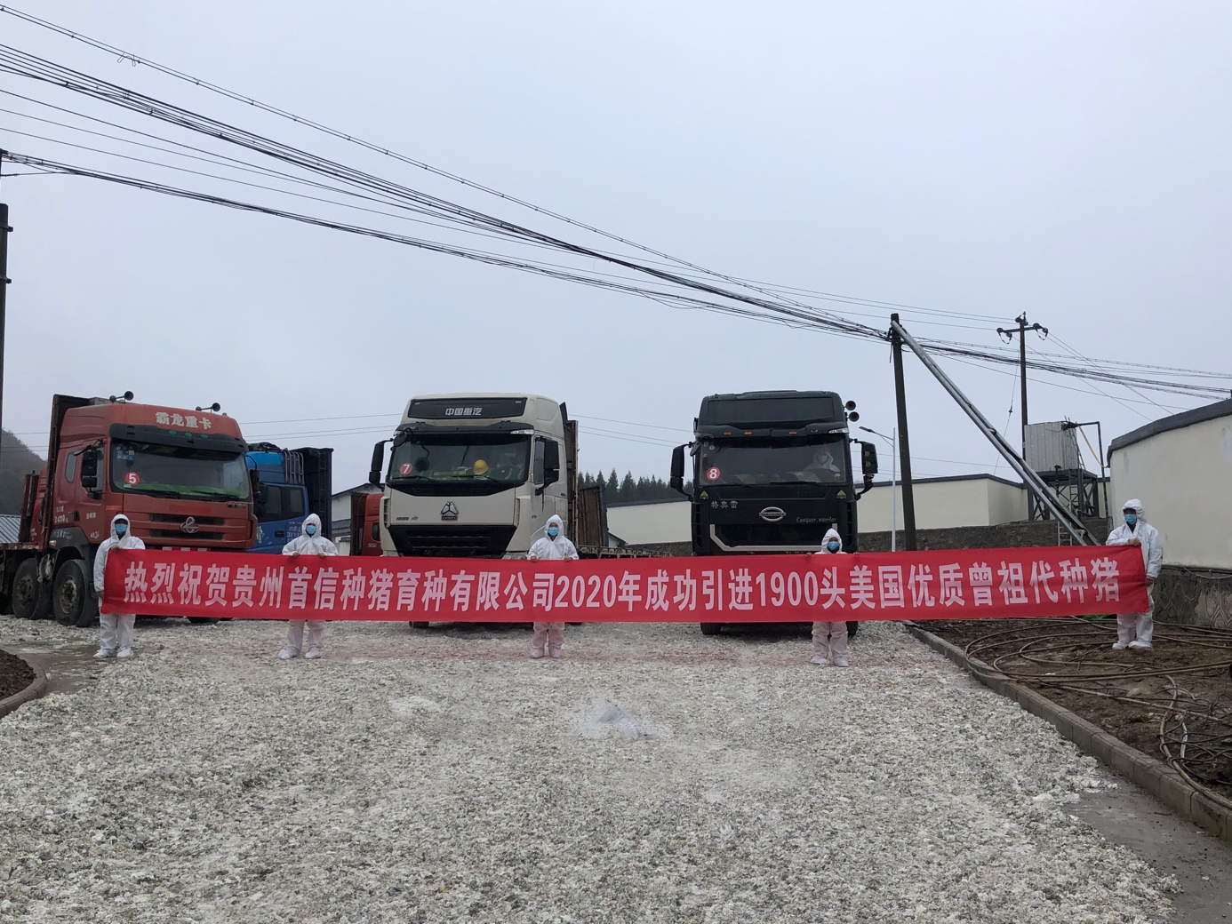 首农食品集团蔬菜,首农集团家育猪场