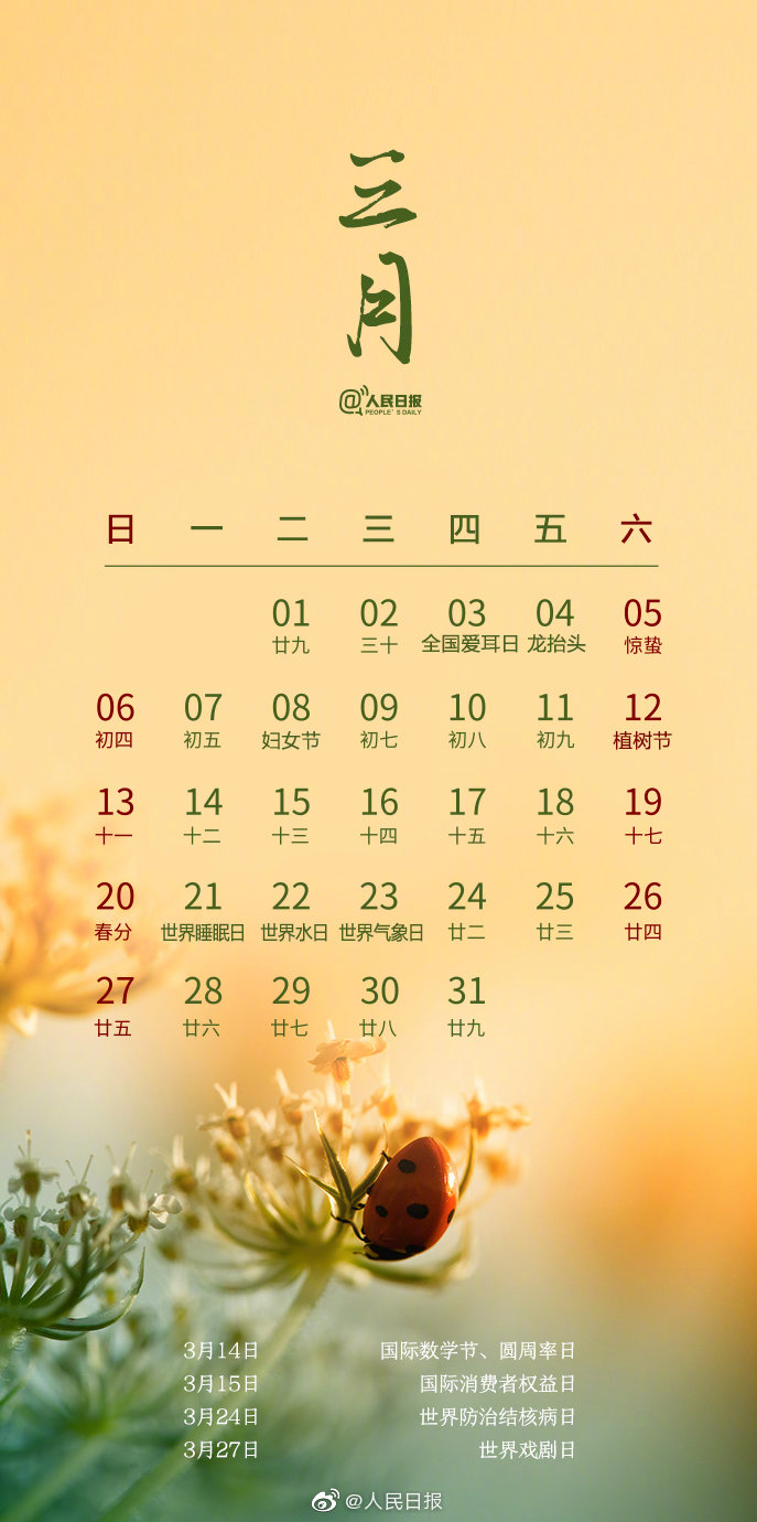 节日日历2022年,2022年传统节日日历