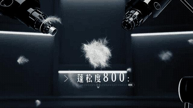 上海冷到下雪啦！过冬的羽绒服请赶紧捂好