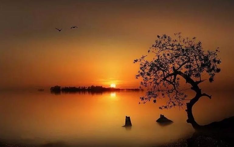 远在他乡漂泊孤独的诗句,写游子漂泊在他乡诗