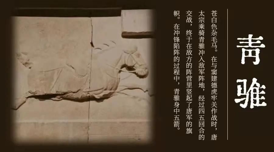 脑洞大开方言购物,脑洞大开的车有哪几种