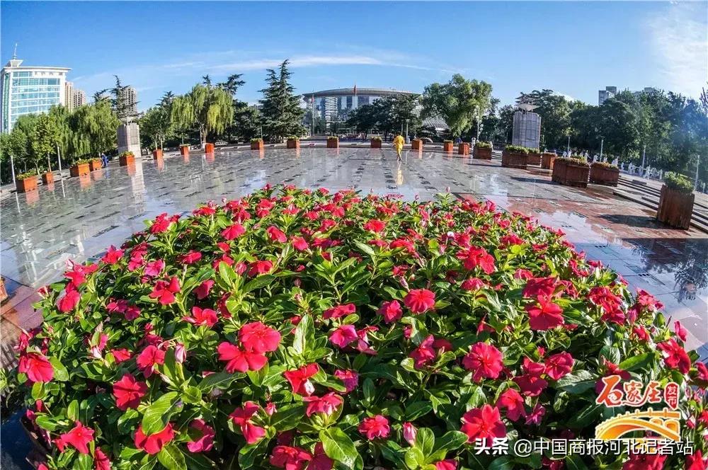 适合情侣约会的安静的地方石家庄,石家庄七夕一日游最佳去处