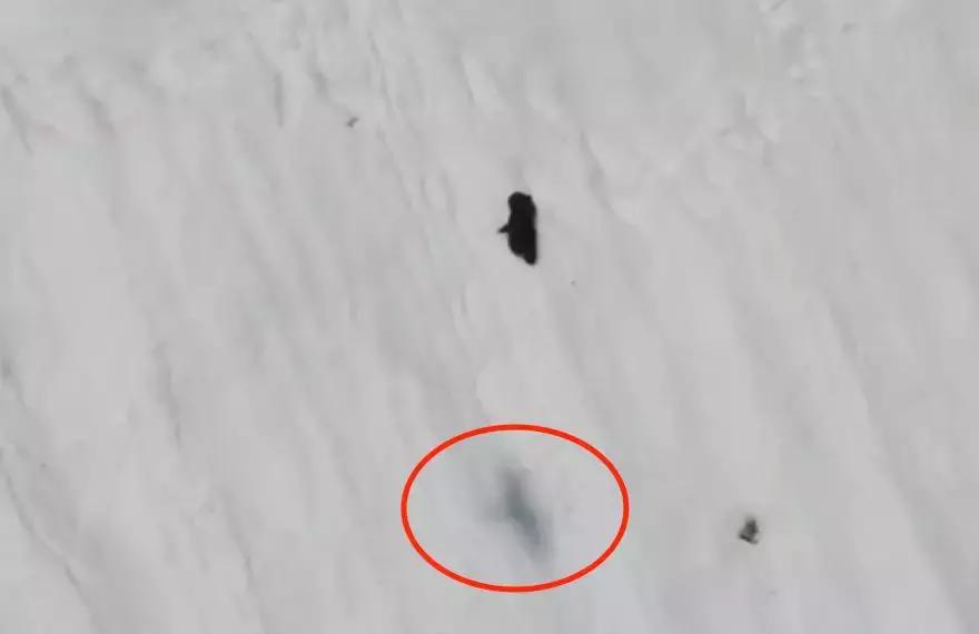 被囚34年取精，被迫亲手杀死爱子，最后只能挣扎着死去……