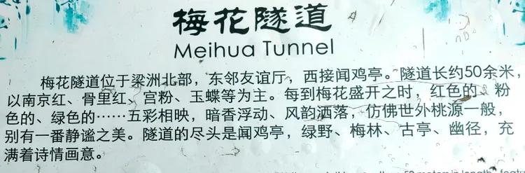 曾作为禁地，与外界隔绝二百六十多年的“玄武湖”，今日锣鼓喧天