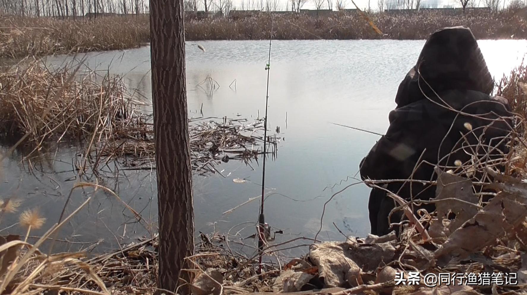 浅水钓鱼最佳方法,浅水钓鱼法