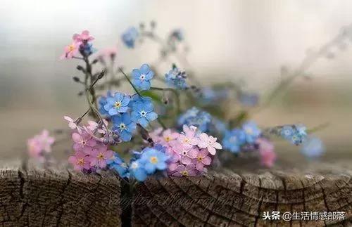 适合个性签名的简短句子,适合做个性签名的句子独特有风格