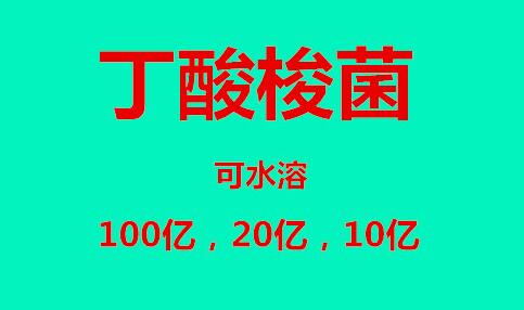 丁酸梭菌在禽饲料中的用量,水产养殖溶菌酶对丁酸梭菌的影响