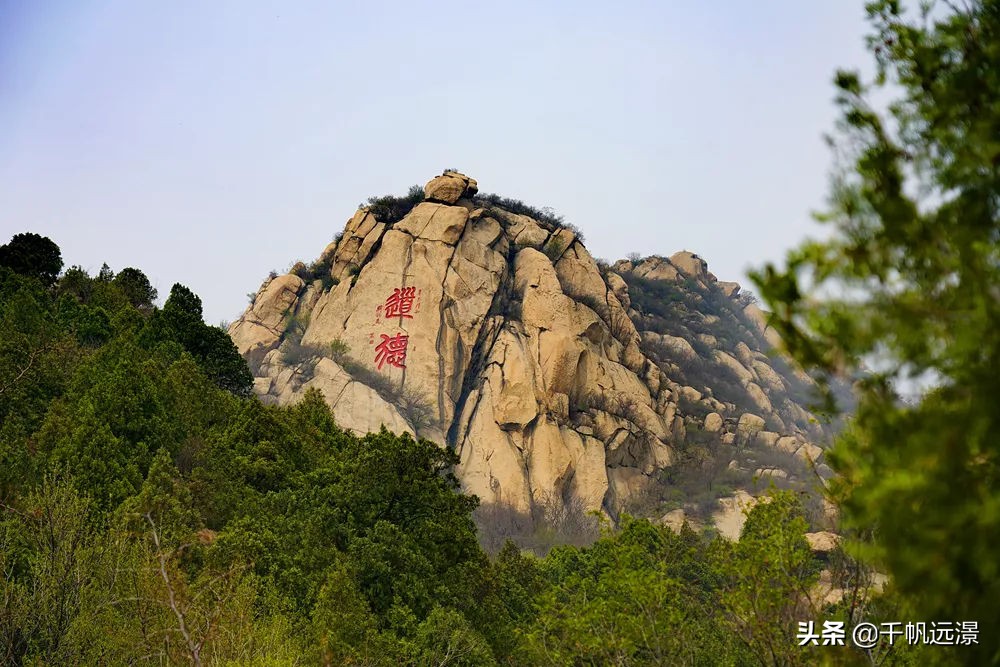 阳春四月迎来春,阳春四月槐花香