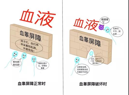 科普精子畸形的罪魁祸首,科普男性精子