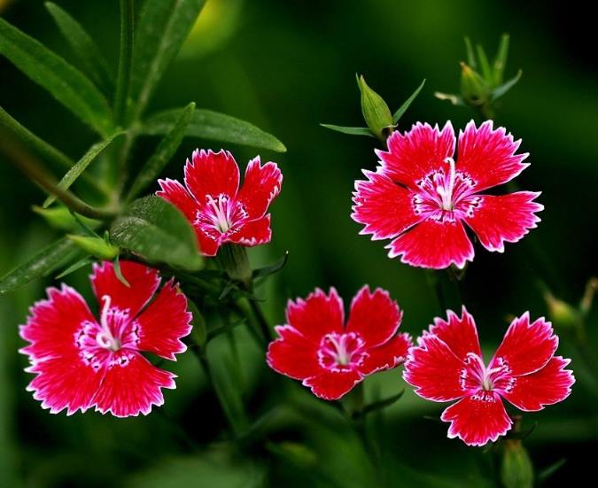 家庭不祥的四种信号,一个家庭一旦出现这3个征兆