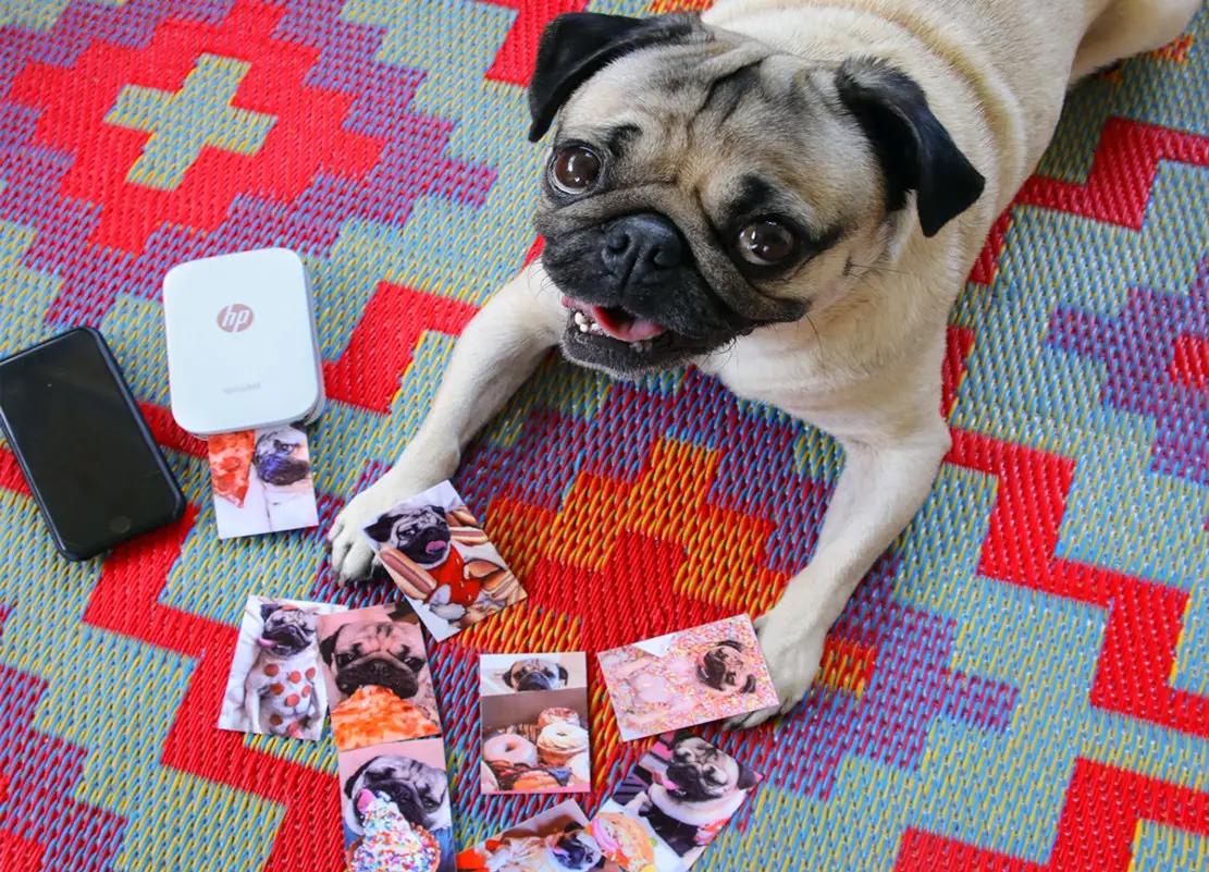 这个手掌大的照片打印机，让我冷漠了一直宠幸的单反