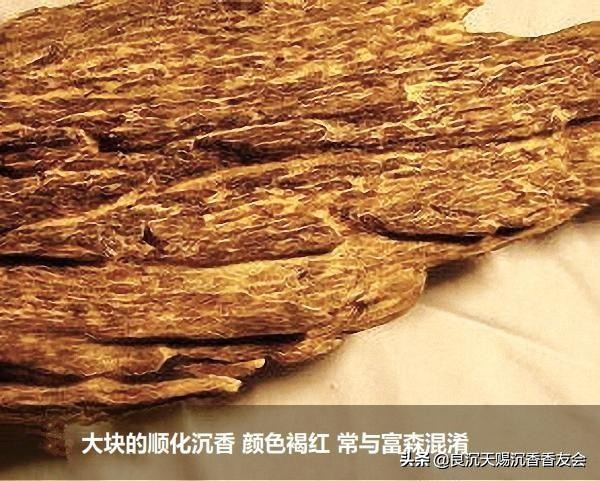 顺化沉香和绿奇楠哪个好 (越南顺化红土沉香)