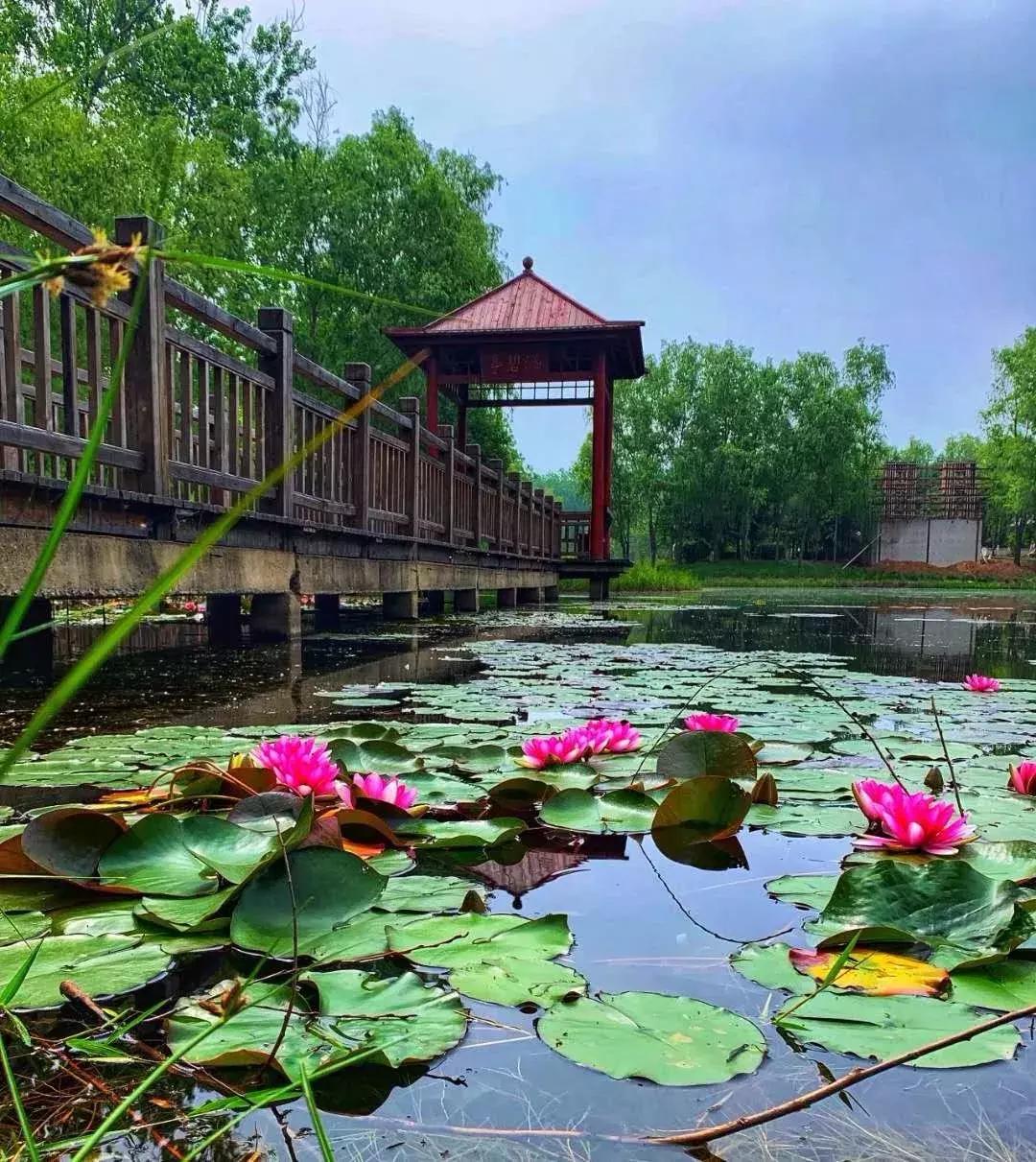 济宁免费游玩的好去处,济宁旅游夏天攻略图