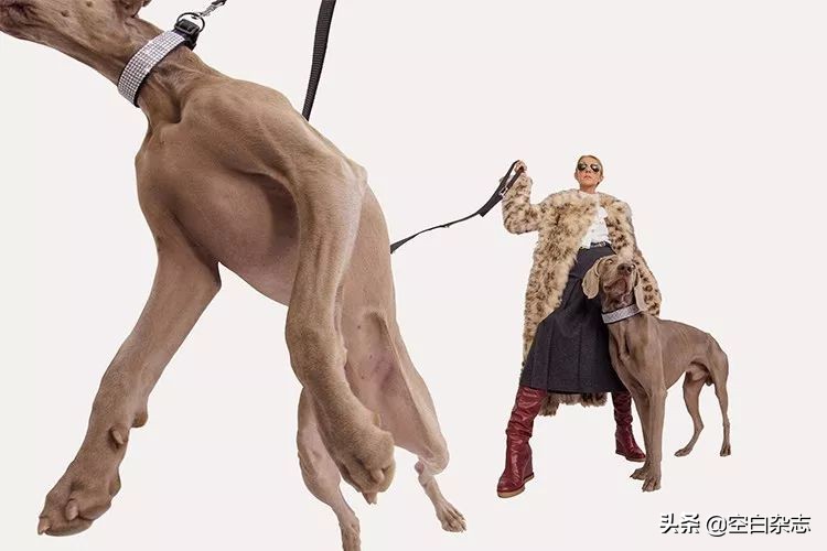 关于女性的时尚杂志,2019年十月时尚杂志