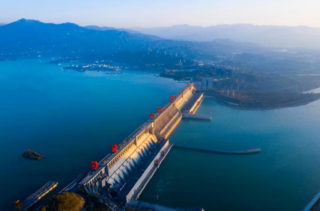 高架桥上为什么只种爬山虎,为啥高架桥要种满爬山虎