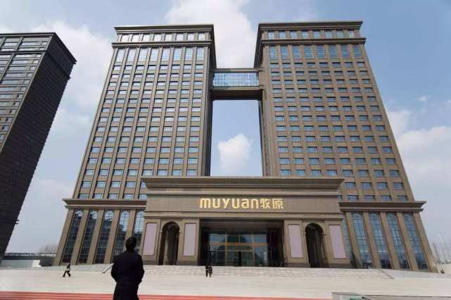 这俩人疫情期间赚疯了，一个卖猪肉赚了千亿，一个卖排插赚了千亿