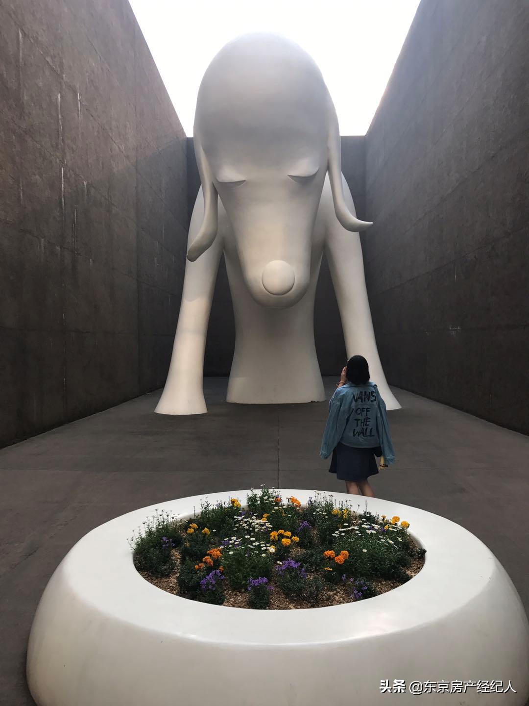 闈掓．涓ぎ瀛﹂櫌澶у,鏃ユ湰闈掓．涓ぎ瀛﹂櫌澶у