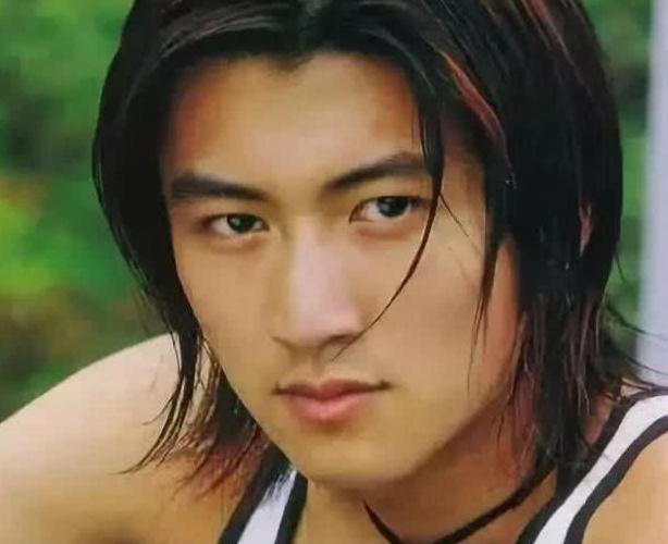 王菲的情史经历,王菲情史谈过几次恋爱