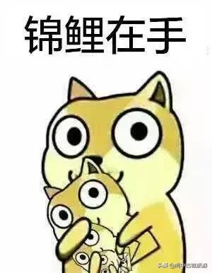 有敬业福和花花卡的人们,敬业福和花花卡2019