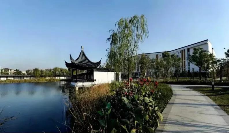 不被看好的崛起,不被看好加倍努力