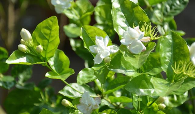 精致实用的家居好物推荐视频,精致实用家居好物推荐