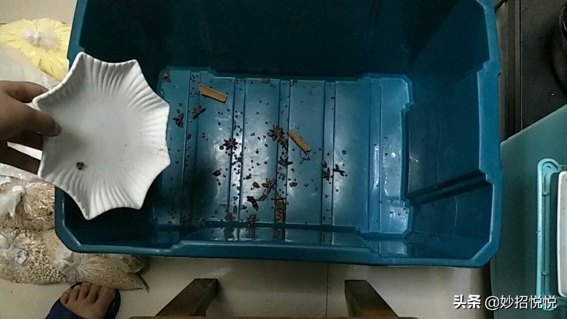 五谷杂粮放冰箱冷藏里还会生虫吗,五谷桶里放什么不易生虫