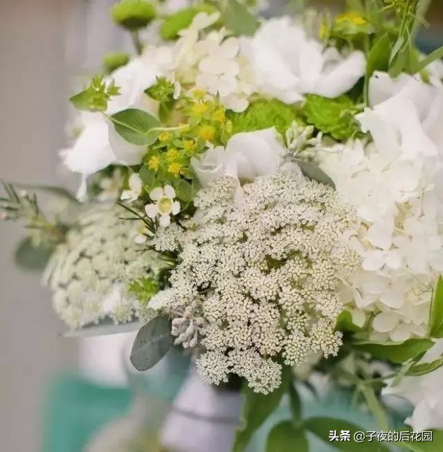 花店常用的配花配草有哪些方法,常见配花配草
