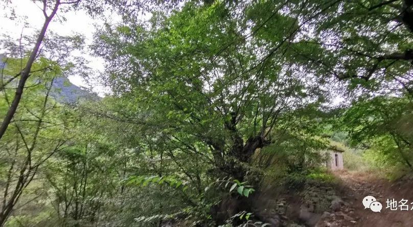 春晚各省地名春联,带地名的春联欣赏