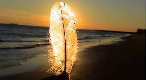 人要学会宽恕释怀,真正的释怀是原谅自己宽恕别人